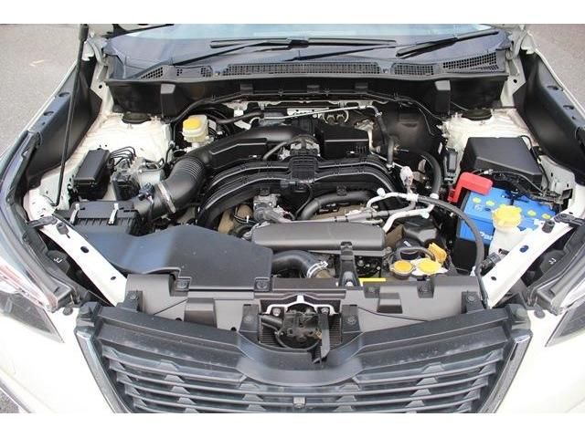 Subaru FORESTER 2019-03 19333-18