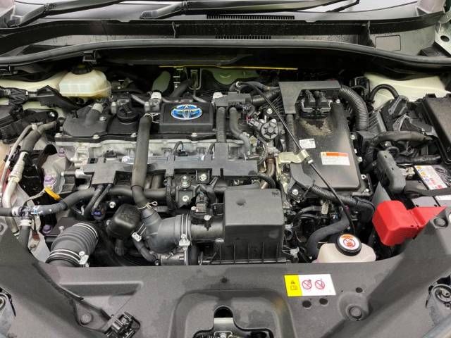 Toyota C-HR 2019-10 191725-18