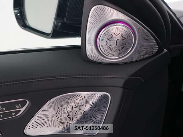Amg S-CLASS 2018-04 346377-15