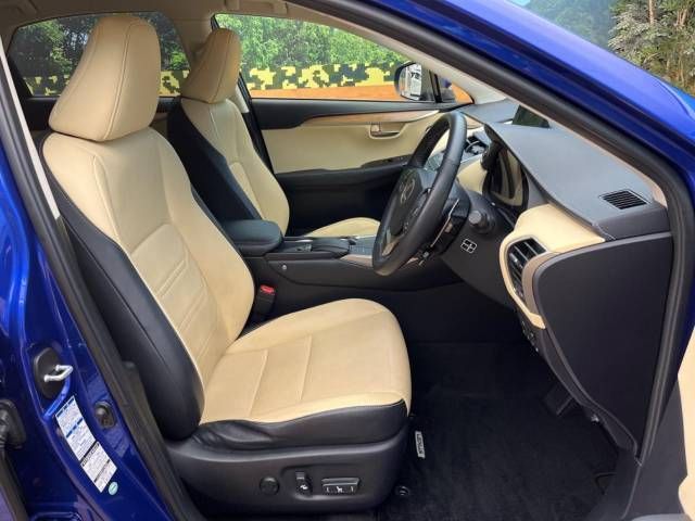Lexus NX 2014-09 21381-8