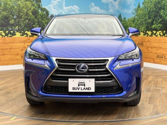 Lexus NX 2014-09 21381-14