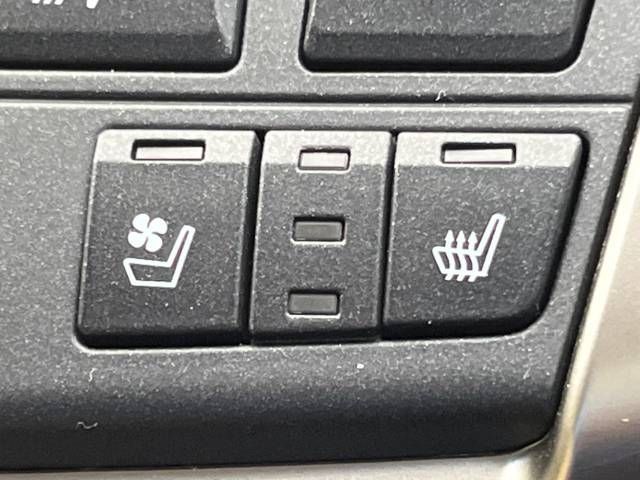 Lexus NX 2014-09 21381-4