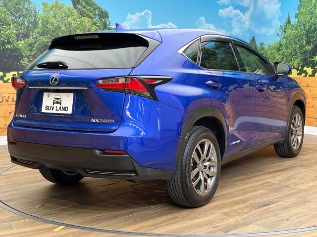 Lexus NX 2014-09 21381-17
