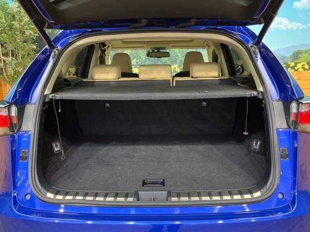 Lexus NX 2014-09 21381-10