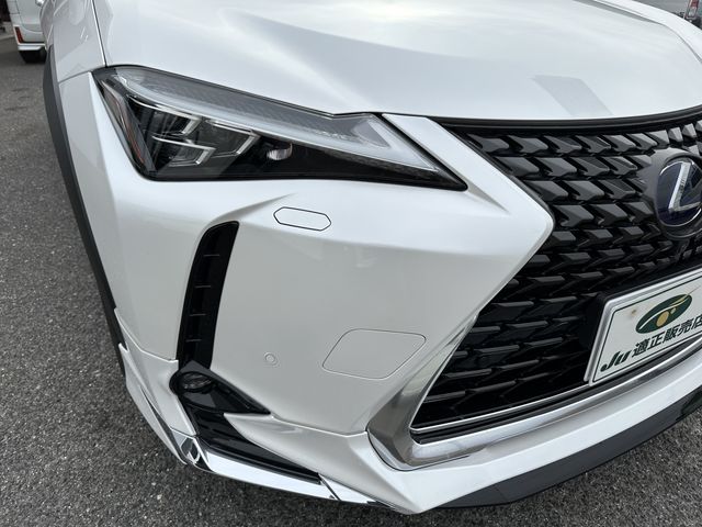 Lexus UX 2021-04 1620-28