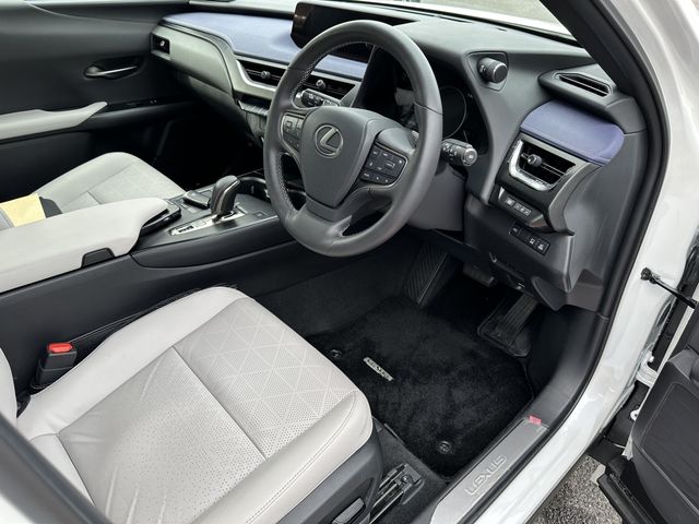 Lexus UX 2021-04 1620-6