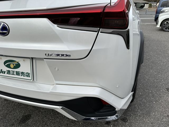 Lexus UX 2021-04 1620-20