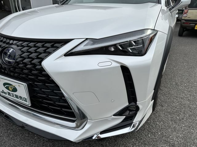 Lexus UX 2021-04 1620-24