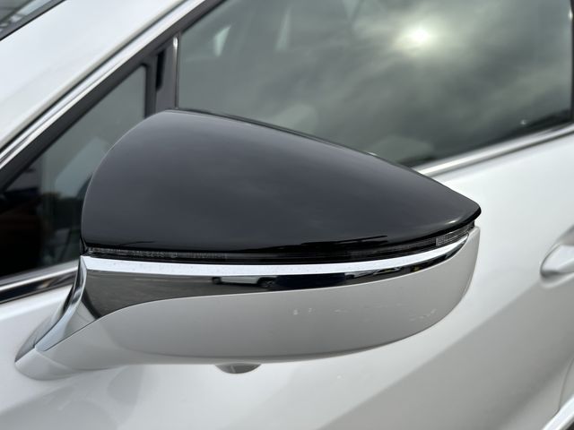 Lexus UX 2021-04 1620-27