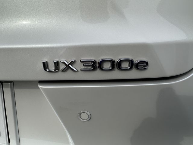 Lexus UX 2021-04 1620-11