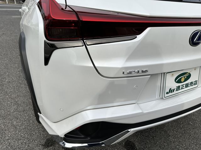 Lexus UX 2021-04 1620-9