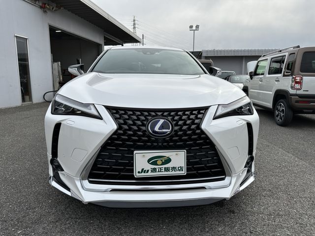 Lexus UX 2021-04 1620-15