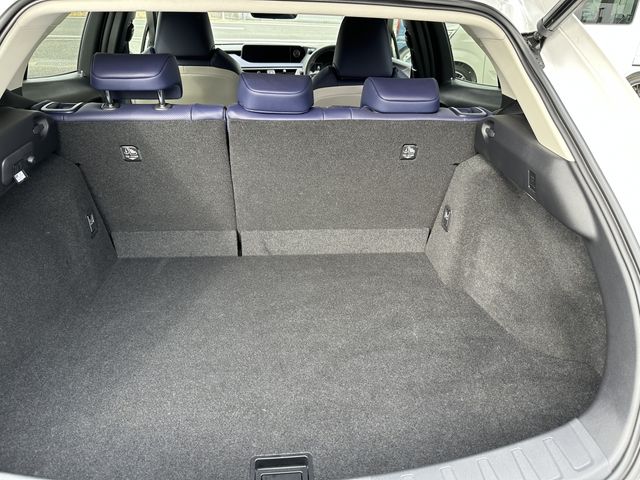 Lexus UX 2021-04 1620-19