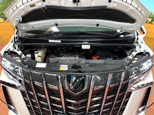 Toyota ALPHARD 2018-10 22595-19