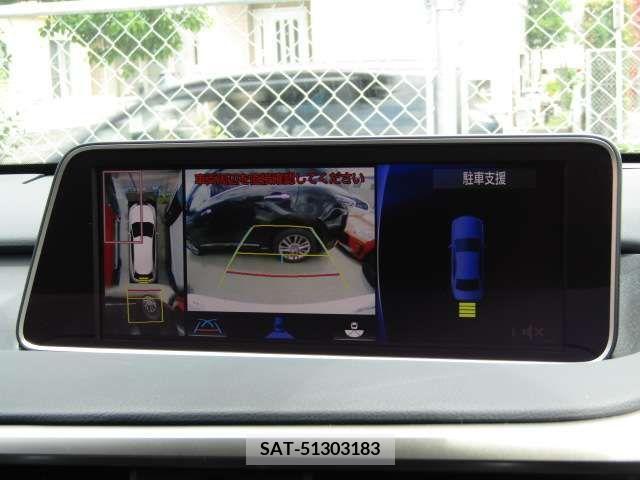 Lexus RX 2016-06 304860-10