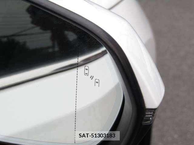 Lexus RX 2016-06 304860-17