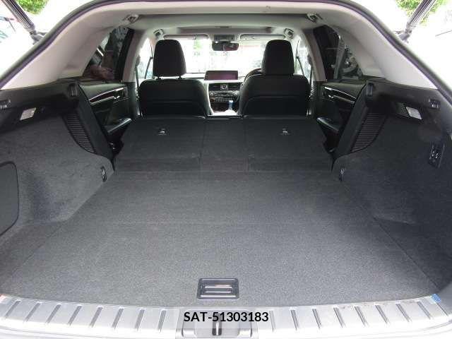 Lexus RX 2016-06 304860-7