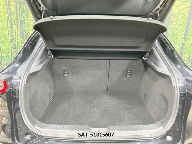 Mazda CX-30 2023-01 204482-10