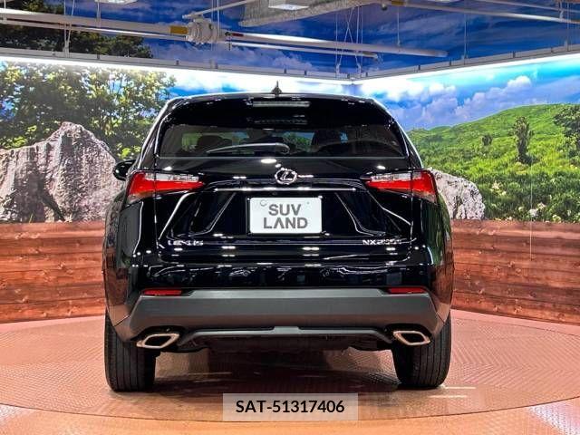 Lexus NX 2017-03 275569-12