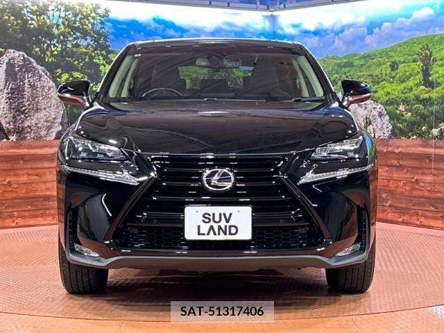 Lexus NX 2017-03 275569-11