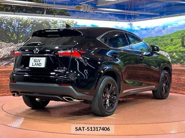 Lexus NX 2017-03 275569-14