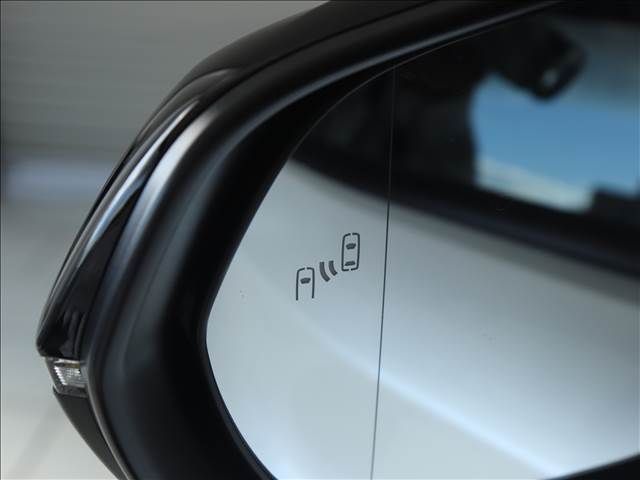 Lexus RZ 2023-08 194784-16