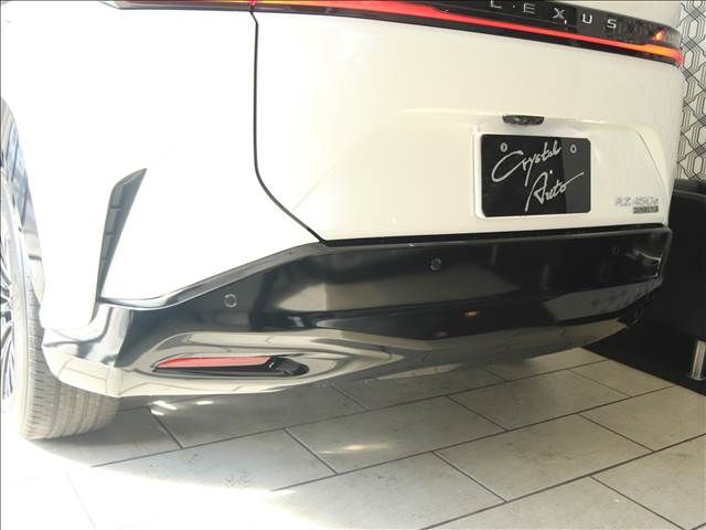 Lexus RZ 2023-08 194784-17