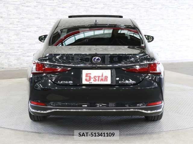 Lexus ES 2019-08 275247-12