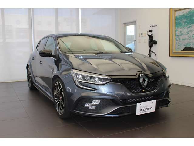 Renault MEGANE 2021-06 11144-2