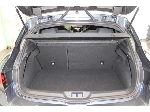Renault MEGANE 2021-06 11144-8