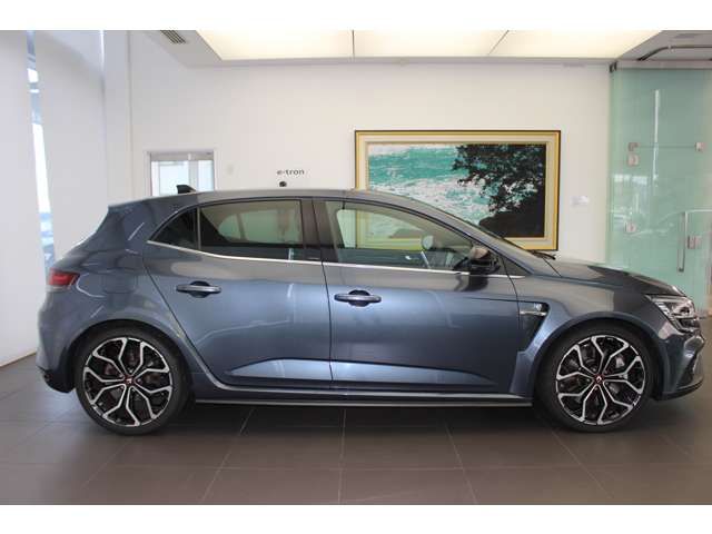 Renault MEGANE 2021-06 11144-4