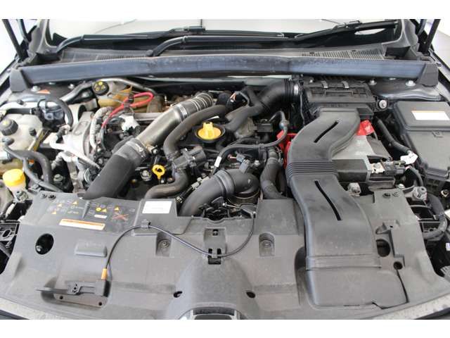 Renault MEGANE 2021-06 11144-18
