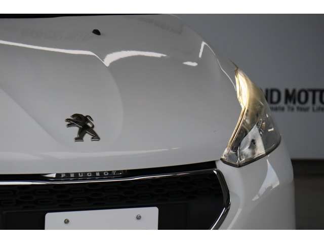 Peugeot 208 2015-09 17301-3