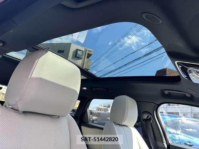 ROVER RANGE ROVER 2023-02 284855-1
