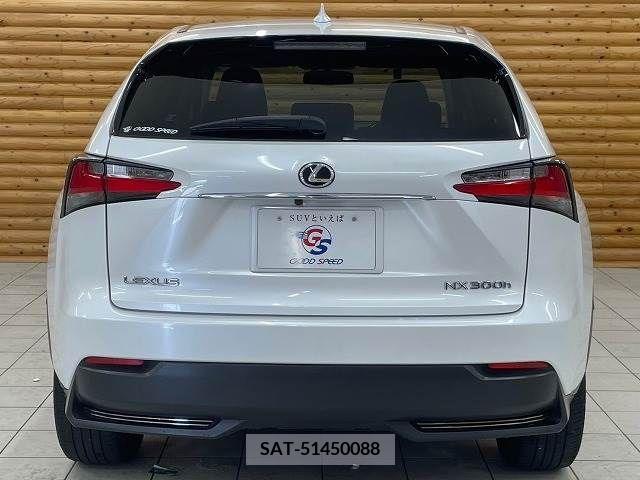 Lexus NX 2015-08 362935-18