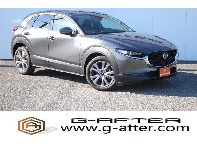 Mazda CX-30 2020-08 6223-0