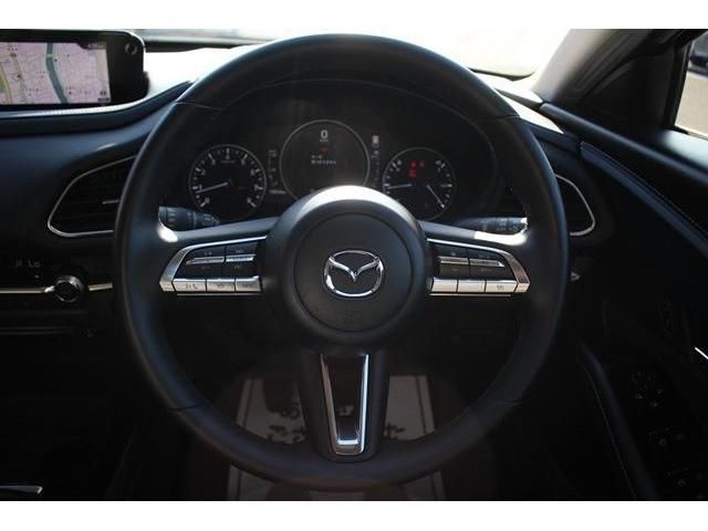 Mazda CX-30 2020-08 6223-16