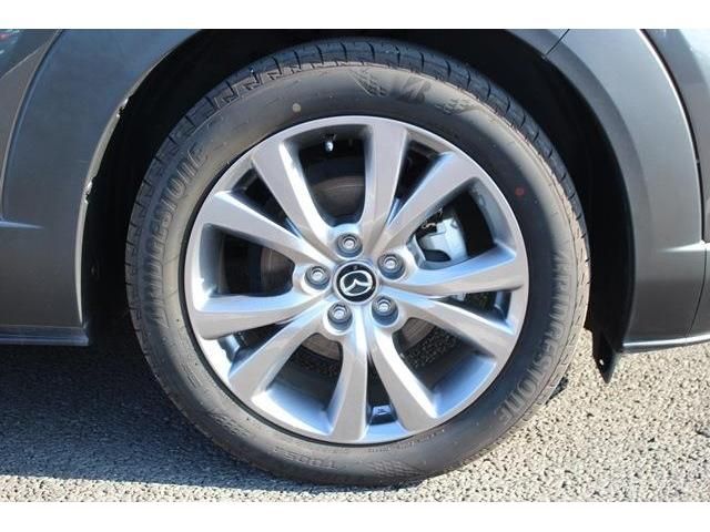 Mazda CX-30 2020-08 6223-11