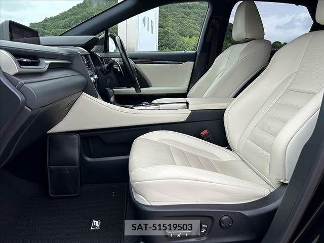 Lexus RX 2016-10 334373-16