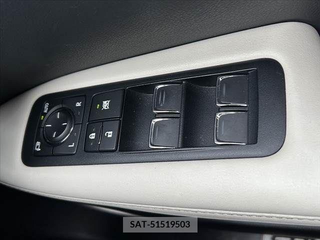 Lexus RX 2016-10 334373-27