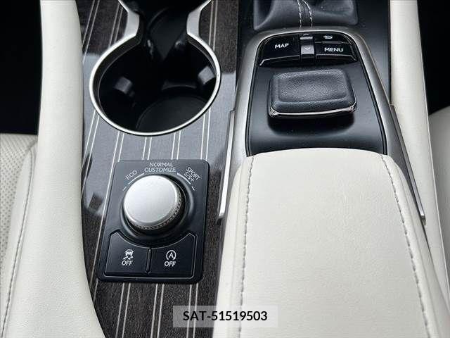 Lexus RX 2016-10 334373-24