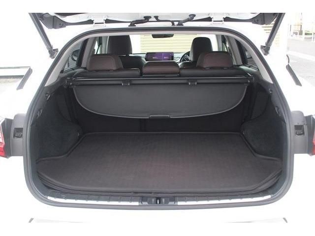 Lexus RX 2016-07 6485-17