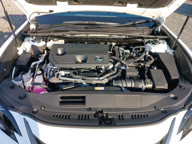 Lexus ES 2022-04 182302-29