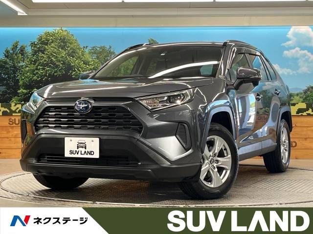Toyota RAV4 2019-12 4596-0