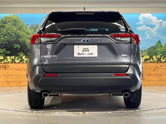 Toyota RAV4 2019-12 4596-16
