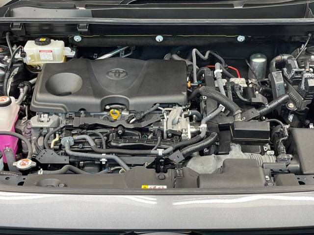Toyota RAV4 2019-12 4596-19