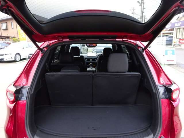 Mazda CX-8 2021-04 183071-8