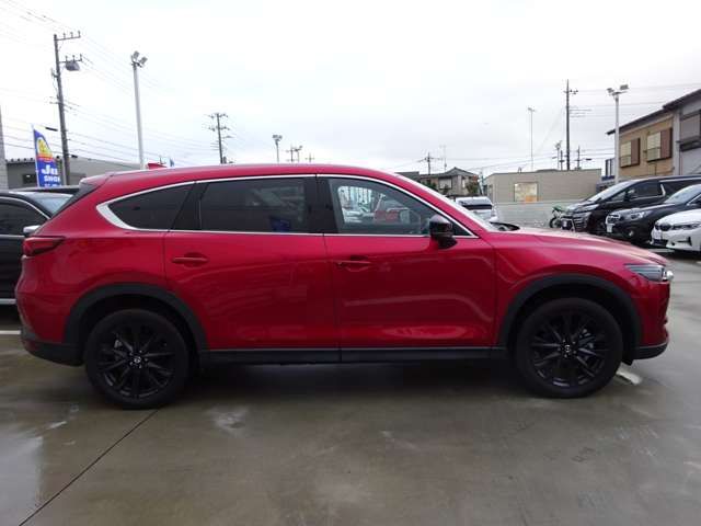 Mazda CX-8 2021-04 183071-11