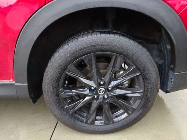 Mazda CX-8 2021-04 183071-13