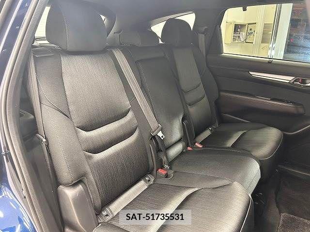 Mazda CX-8 2019-09 266237-8